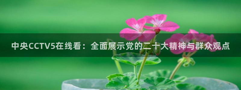 新闻图片